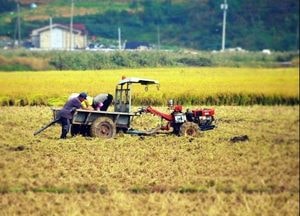 파주시 ‘道 농정업무평가 장려상’ 수상…2년 연속 ‘우수한 농정업무 추진’ 인정