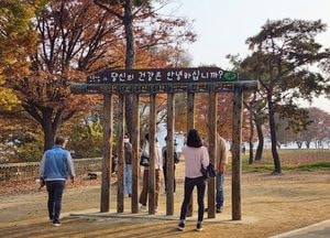 [포토] 양평 두물머리…당신의 건강은 안녕하십니까?