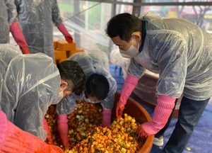 백영현 포천시장, 어려운 이웃에 힘 됐으면...‘사랑의 김장담그기’에 동참