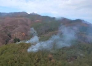 양평 연수리에 산불, 헬기 투입 38분 만에 주불 진화
