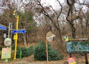 [서로이음길] 계수나무와 회양목이 많아서 붙여진 이름 ‘계양산’...서로이음길 4코스