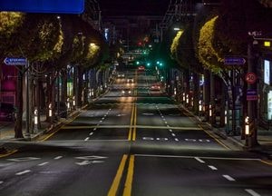 열주등 조명에 원형 가로수까지...수원시 월드컵로 ‘걷고 싶은 거리’로 변신
