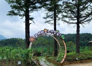 남양주시, 기후변화 선제적 대응...도시숲 조성으로 미세먼지 저감 ‘앞장’