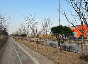 수원델타플렉스에 ‘미세먼지 차단숲’ 조성...市, 그린인프라 구축 2단계 사업 완료