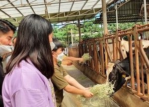 양주시 '찾아가는 농촌체험 프로그램' 성황...이용객·매출액 '두마리 토끼' 성과