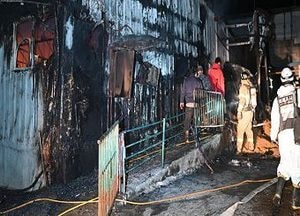 안성 보개면 돈사서 불, 돼지 230두 폐사