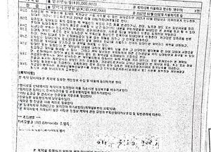 조폭 개입 온라인 전세대출사기 일당 17명 검거, 8명 구속