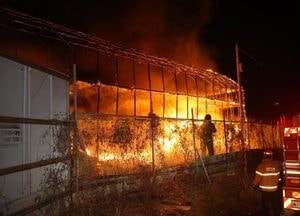 안산 단원구 비닐하우스에 새벽 ‘불’...44분 만에 진화