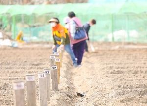 의왕시, 행복가꿈 주말농장 분양...21~24일 신청