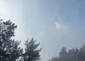 건조한 주말 화성·여주서 산불...여주 70대 주민 2도 화상
