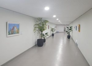 경기도, 청사 출입 통로에 장애인예술품 전시...강예진 작가의 ‘토끼카페’ 등 20여점