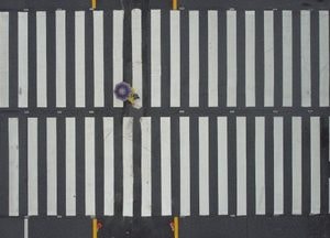 횡단보도 건너던 60대 여성 치어 숨지게 한 시내버스 기사