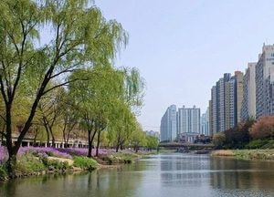 안양천 지방정원 조성예정지 지정 승인...2026년 운영 목표