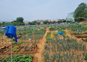 연천군농업기술센터 '귀농 준비생' 대상 '한 달 살아보기' 참여자 모집