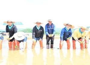 경기도-파주시 ‘풍년 기원 모내기’ 눈길…김경일 시장·김동연 지사, 주민들에 포착