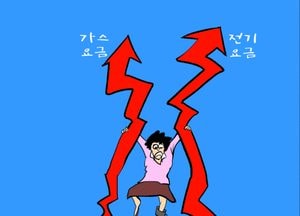 물가 연세 인상 될 것...제발 서민 부담 적게...!