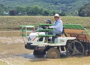 이석범 남양주시 부시장, 영농철 맞아 풍년 기원 모내기 시연