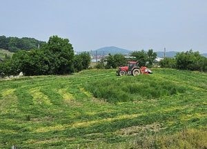 이천농기센터, 동계 사료작물 ‘이탈리안 라이그라스’ 재배 성공