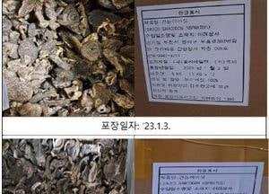 중국서 수입된 가짜 ‘능이버섯’ 적발...식약처, 회수 조치