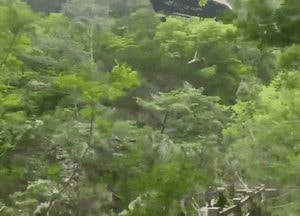 용문산서 추락사고...40대 중국인 여성 ‘경상’