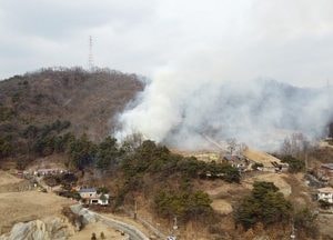 경기도, 올해 봄철 산불 전년 125건 대비 29% '감소'
