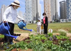 우리가 도시농부... ‘행복 쑥쑥’자라는 시흥 배곧텃밭나라