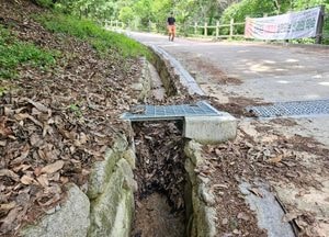 잡초 무성·꽉 막힌 배수로...경기도기념물 ‘죽주산성’ 정비 시급