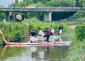 양주 하천에 아스콘공장 기름 유출, 물고기 100마리 떼죽음