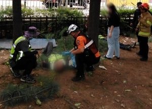 평택, 가로수 전지작업 중 고압선 감전...작업자 2명 2~3도 화상