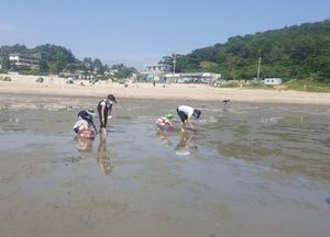 인천지역 해수욕장, 다음 달 1일부터 순차적 개장...해수욕장·해변 등 총 29개소