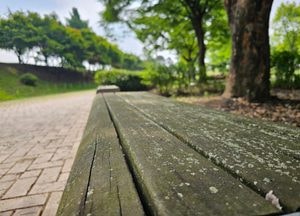 시민들은 꺼린다 ‘곰팡이 핀’ 여주 금은모래강변공원 벤치...누가 앉을까