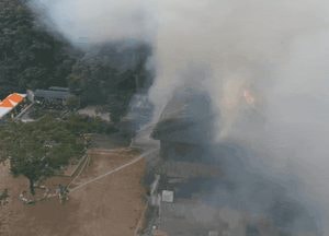 수원 장안구 사찰에 불, 인명피해 없어