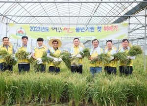 올해도 풍년이네 ‘대왕님표 여주쌀, 첫 벼 베기’ 열려...지난해보다 8일 빨라