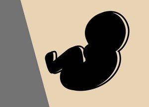 영아 2명 살해 친모 ‘살인죄’ 적용, 친부는 ‘영아살해방조’ 혐의 입건