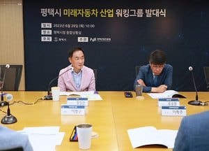 평택시, 미래자동차 산업 워킹그룹 발대식 열어