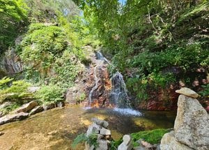 양평·여주·이천에 폭염경보...35도 이상