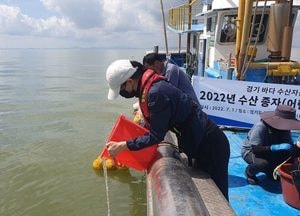 경기도해양수산자원연구소, 전곡항 인근 해역서 꽃게·갑오징어 15만 마리 방류