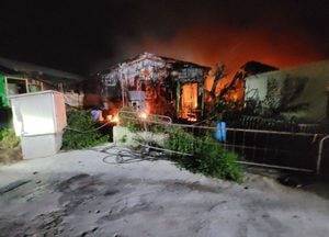 안성 돈사에 불, 1240마리 폐사