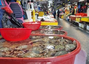 여름 휴가철 국내산 수산물 사면, 온누리상품권 최대 2만원 지급