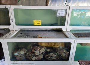 인천시특사경, 일본산 등 수입 수산물 원산지 표시 특별단속..14일부터 3주 동안
