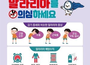 파주시, 말라리아 모기 예방에 총력…전국 말라리아 경보에 전담반 구성
