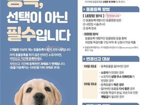 9월까지 반려견 등록해야...인천시, 10월부터 본격 단속방침