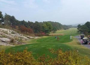 화성 기흥CC 카트추락…근로자 1명 사망·2명 부상