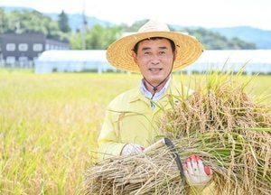 포천시, 무더위 이겨내고 ‘결실’...벼베기 행사 진행