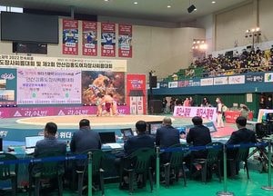 가을 맞아 축제·문화행사 ‘풍성’...“안산에서 가을을 즐기자”