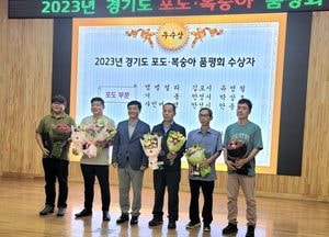 ‘2023년 경기도포도품평회’…김포시 통진읍 유영철 농가 ‘켐벨얼리’ 부분 우수상 입상