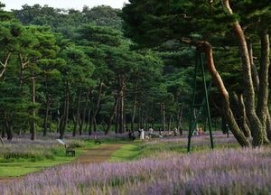 수원시, 산림청 인증 전국 대표 ‘모범 도시숲’ 2곳 선정