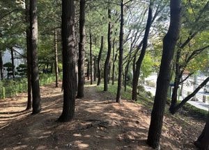 김포시, 완충녹지공간 활용 ‘맨발걷기길’ 조성