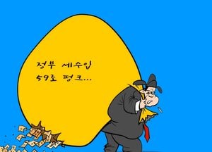 모자라는 세수입은 어디서?
