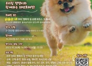 파주시 ‘DMZ 평화 길’ 걷기 행사 개최…오는 10일 반려견과 함께 ‘댕댕 트레킹’